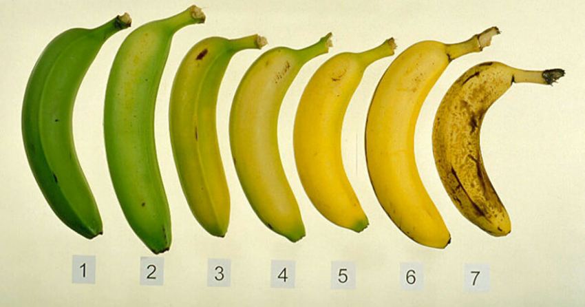 Πώς το χρώμα της μπανάνας που τρώτε επηρεάζει την υγεία σας