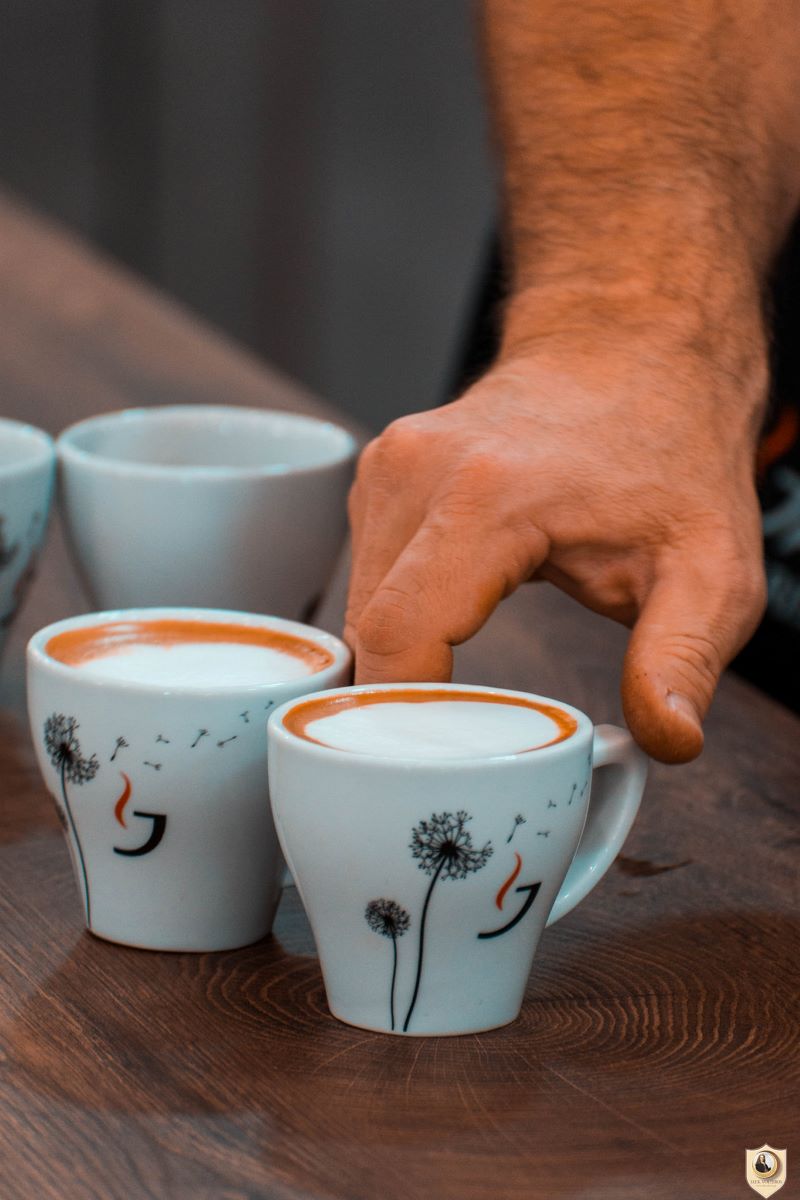 Νέο Πιστοποιημένο Σεμινάριο COFFEE DIPLOMA από το ΙΕΚ VOLTEROS σε αποκλειστική συνεργασία με κορυφαίες εταιρείες καφέ στον κόσμο & Πιστοποιημένους SCA Εκπαιδευτές