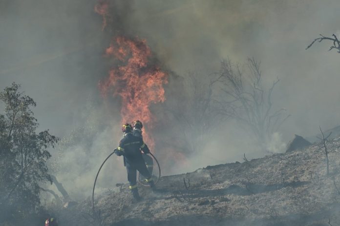 Ξάνθη: Φωτιά στο περιαστικό δάσος – Ήχησε το 112