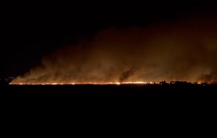 Ολονύχτια μάχη με τις φλόγες έδωσαν οι πυροσβέστες στην Αχαΐα – Απειλείται το δάσος της Στροφυλιάς