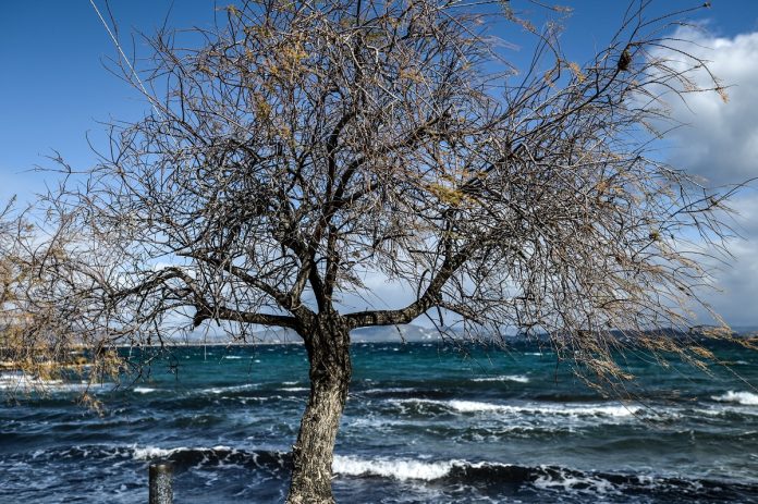 Καιρός: Μπαίνει για τα καλά ο χειμώνας – Φεύγει ο αντικυκλώνας, έρχονται βροχές – Τι να αναμένουμε την νέα βδομάδα