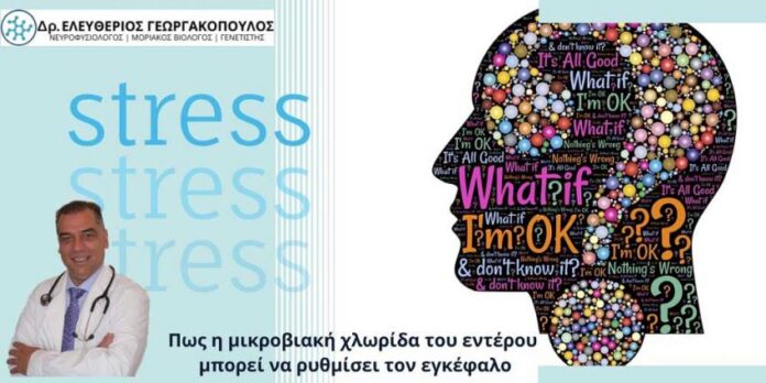 Το υγιές έντερο «κλειδί» για την καταπολέμηση του άγχους και τη σωστή λειτουργία του εγκεφάλου