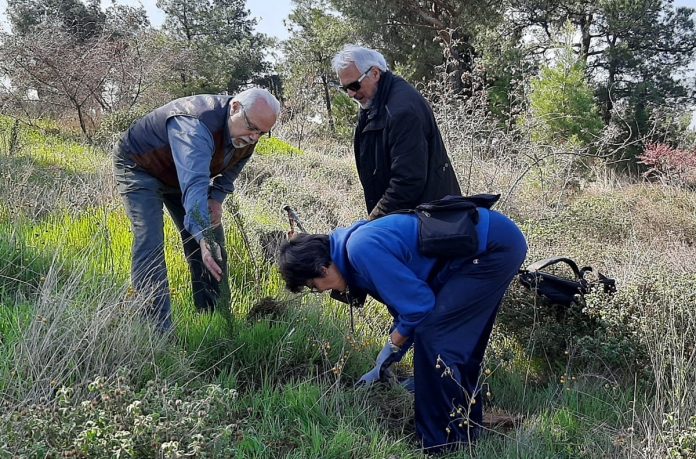 Θεσσαλονίκη: Δενδροφύτευση από μαθητές του αρμενικού σχολείου στο Σέιχ Σου