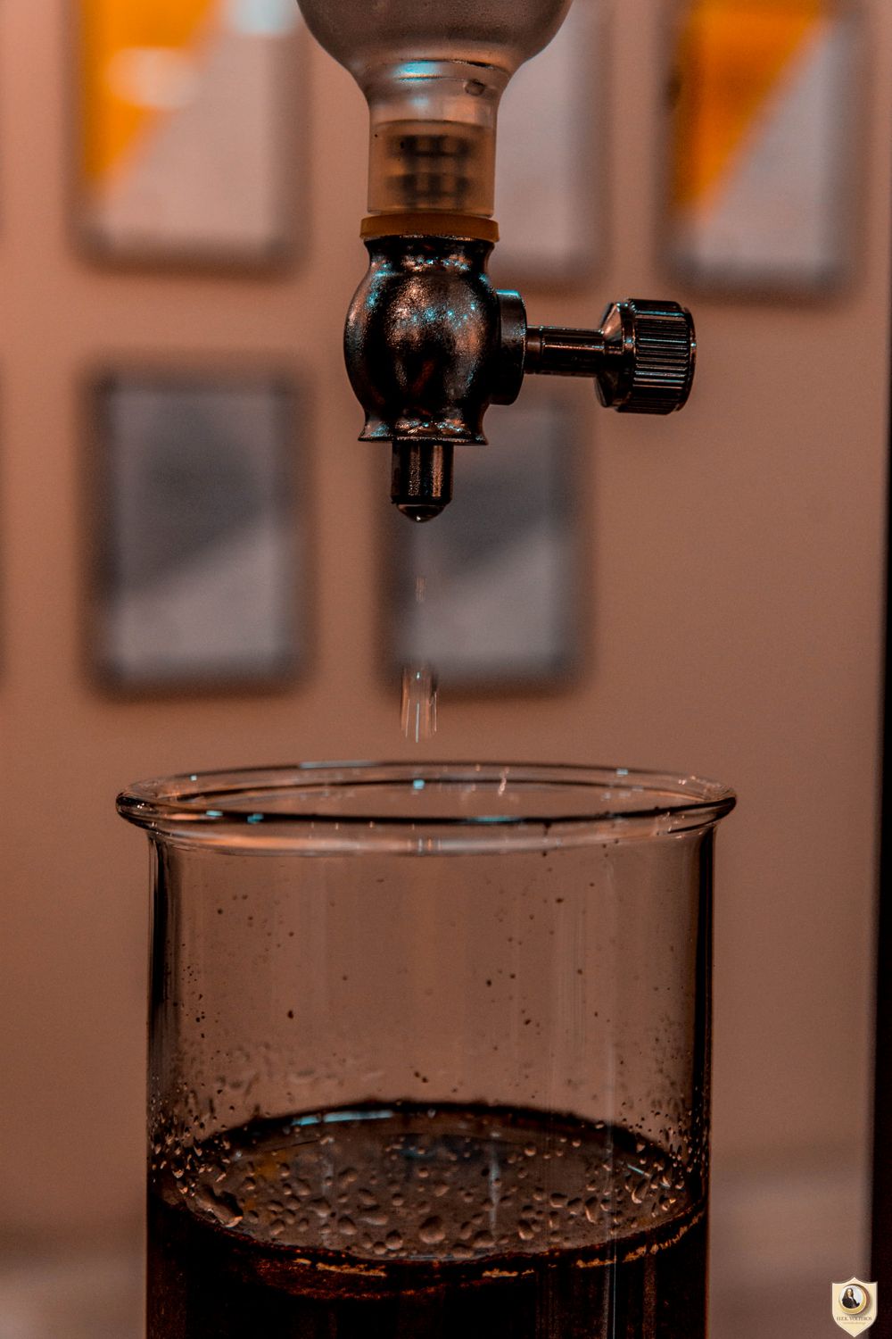 Νέο Πιστοποιημένο Σεμινάριο COFFEE DIPLOMA από τις ΑΝΩΤΕΡΕΣ ΣΧΟΛΕΣ VOLTEROS σε αποκλειστική συνεργασία με κορυφαίες εταιρείες καφέ στον κόσμο & Πιστοποιημένους SCA Εκπαιδευτές