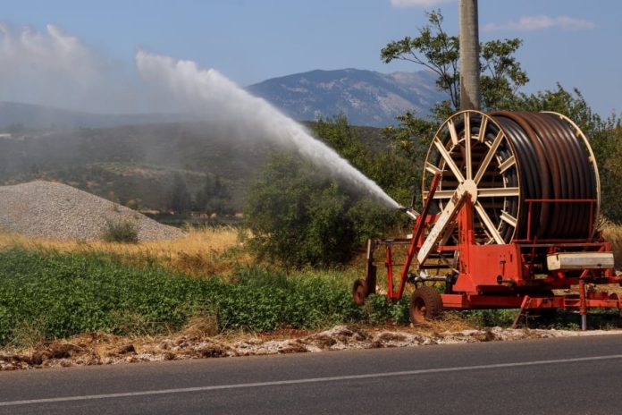 ΟΠΕΚΕΠΕ: Κλείδωσε η πληρωμή της Βασικής Ενίσχυσης