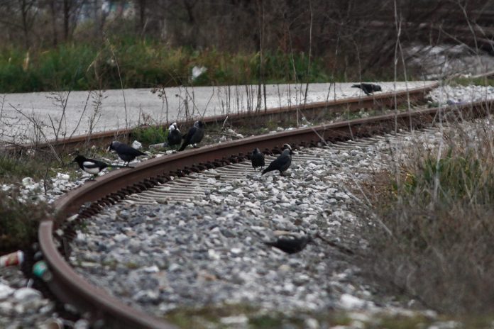 ΟΣΕ: Αποκαθίσταται η σιδηροδρομική γραμμή στη σήραγγα των Τεμπών