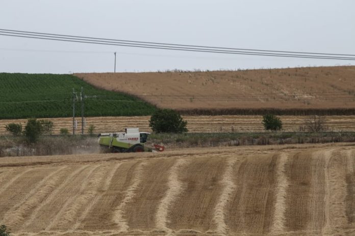 Χαμός στον ΟΠΕΚΕΠΕ με τις παραιτήσεις πριν την πληρωμή