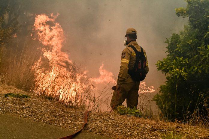 Φωτιά σε δασική έκταση στο Παρανέστι Δράμας