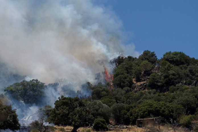 Φωτιά στα Σερζιανά Ιωαννίνων