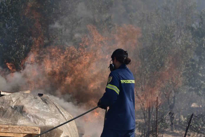 Φωτιά στον Μαραθώνα – Κινητοποίηση της πυροσβεστικής