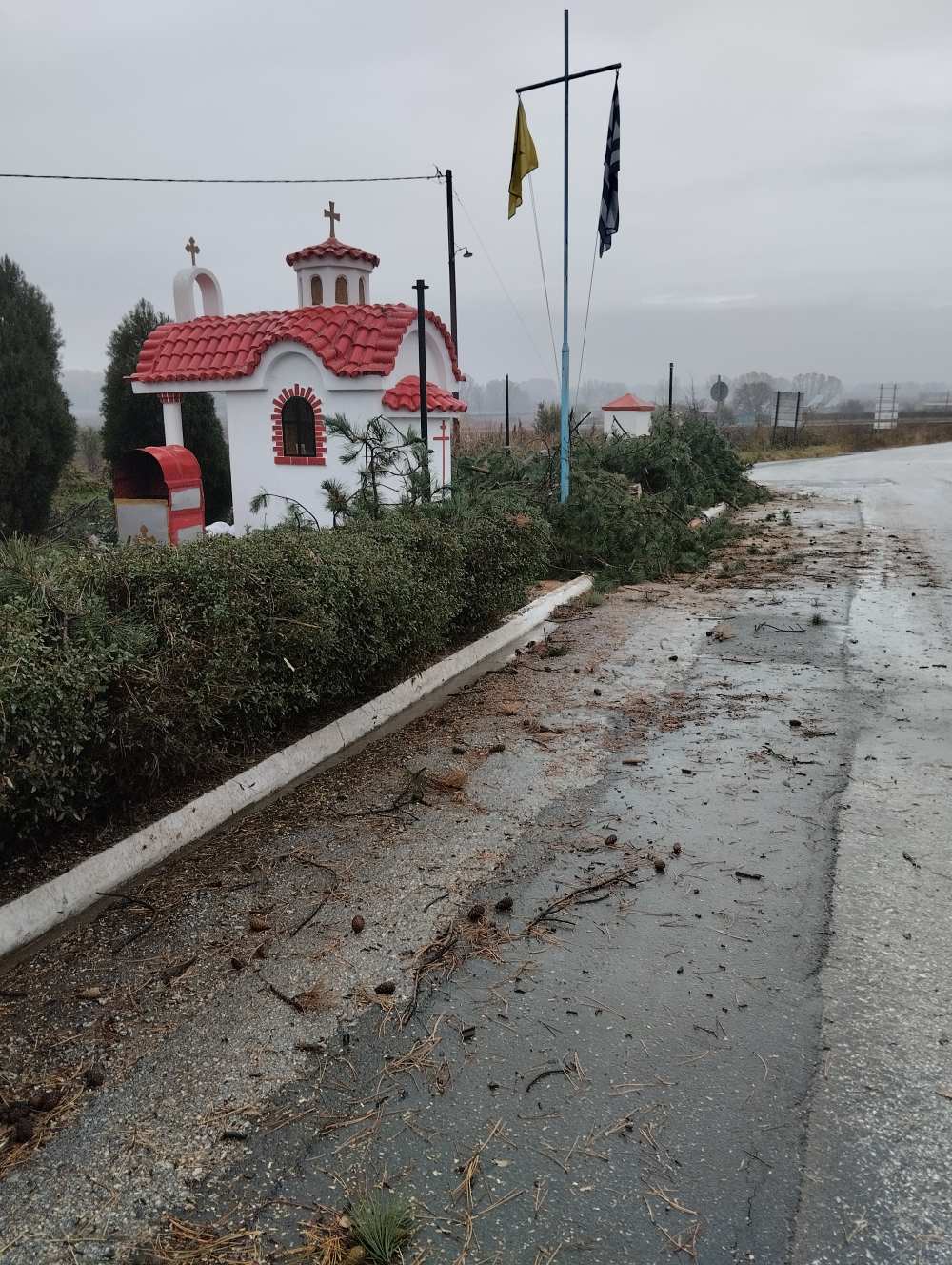 Κοπή δέντρων στο παρεκκλήσι του Αγίου Κωνσταντίνου και Ελένης στην Ασβεστοπετρα από το ΔΕΔΗΕ χωρίς καν να ενημερώσουν τον δήμο και την κοινότητα!