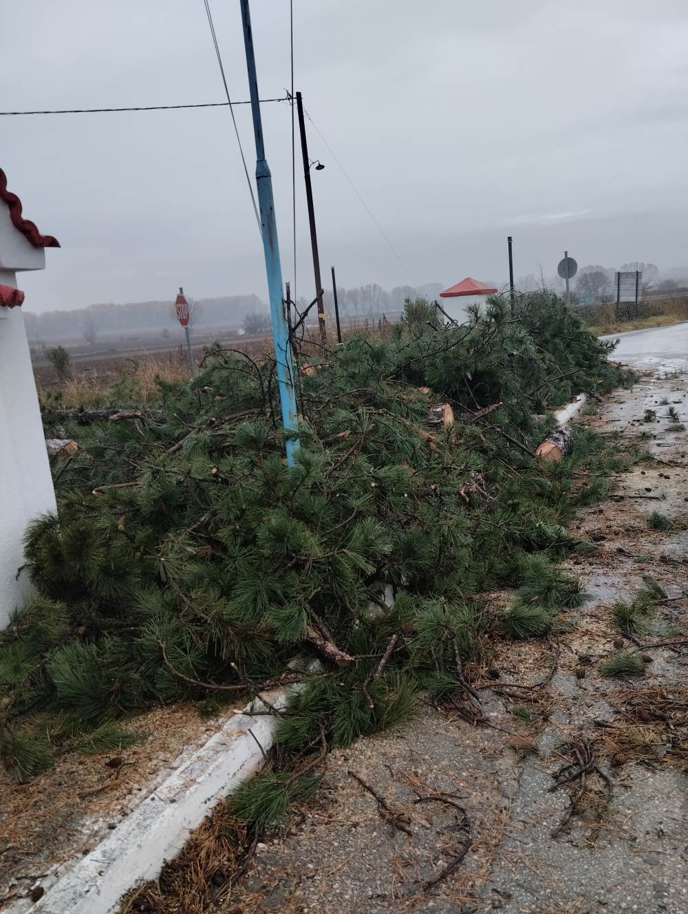 Κοπή δέντρων στο παρεκκλήσι του Αγίου Κωνσταντίνου και Ελένης στην Ασβεστοπετρα από το ΔΕΔΗΕ χωρίς καν να ενημερώσουν τον δήμο και την κοινότητα!