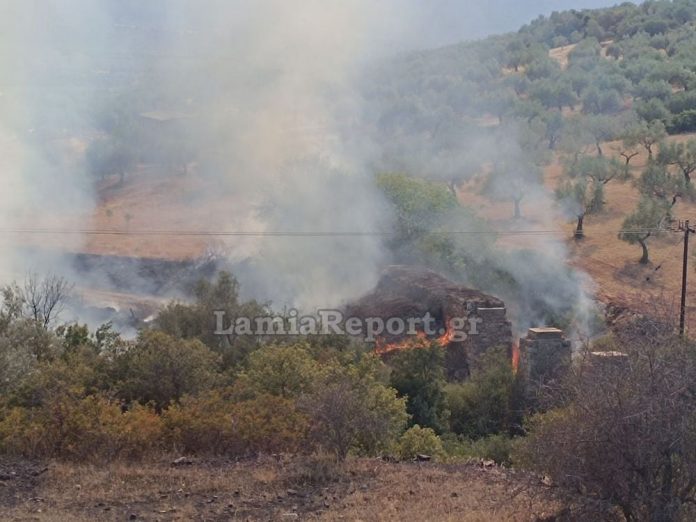 Λάρυμνα: Φωτιά κοντά στο εργοστάσιο της ΛΑΡΚΟ – Επιχειρούν εναέρια μέσα – ΦΩΤΟ