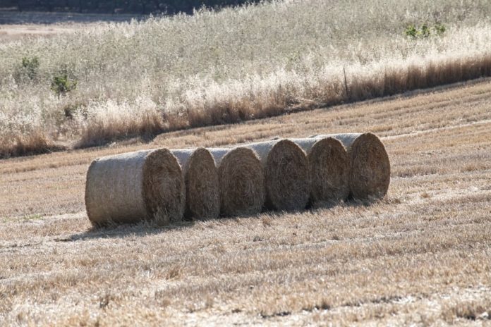 Η πρώτη πληρωμή με 450 εκατ. από τον ΟΠΕΚΕΠΕ - Έρχεται και η Εξισωτική