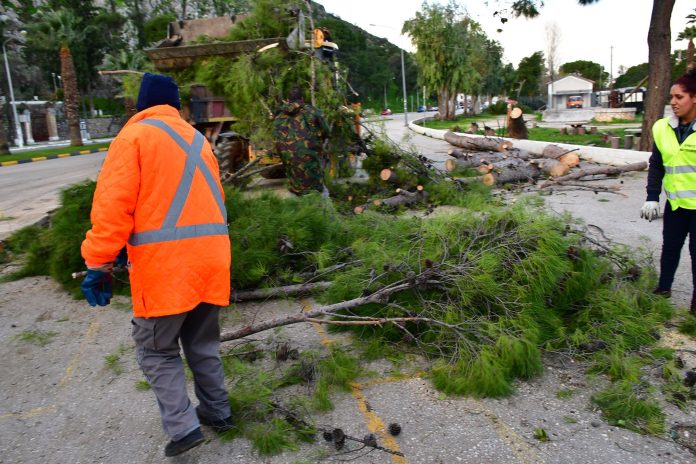 Ημαθία: 70 κλήσεις για προβλήματα που προκλήθηκαν από ισχυρούς ανέμους στην περιοχή