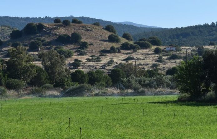 Ανασκαφές στη Λέσβο για να αναδειχθεί η αρχαία Αρίσβη