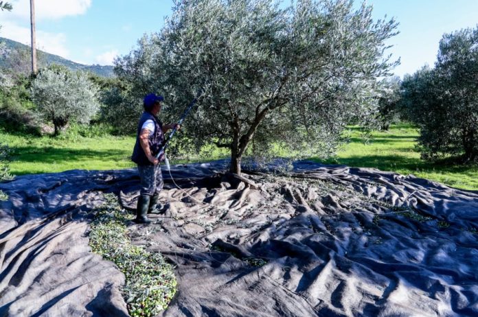 Μεγάλη Εβδομάδα η πληρωμή του ΟΠΕΚΕΠΕ