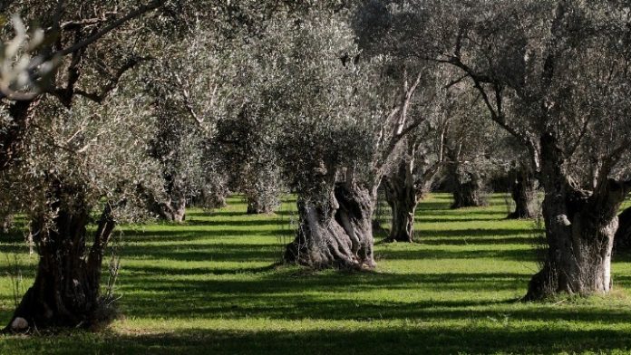 Κρήτη: Απάντηση στις προκλήσεις που γεννά ο υπερτουρισμός δίνουν οι εναλλακτικές μορφές τουρισμού