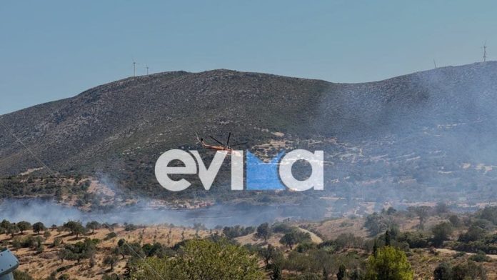 Εύβοια: Χωρίς ενεργό μέτωπο η φωτιά στα Μεσοχώρια – Καλύτερη η εικόνα στους Ζάρακες