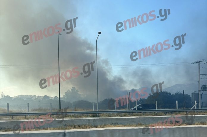 Φωτιά δίπλα στην Εθνική Οδό Αθηνών- Κορίνθου: Καίει κοντά στο ΣΕΑ Μεγάρων – ΦΩΤΟ αναγνώστη