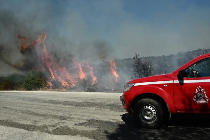 Φωτιά σε δασική έκταση στις Λιβανάτες Φθιώτιδας