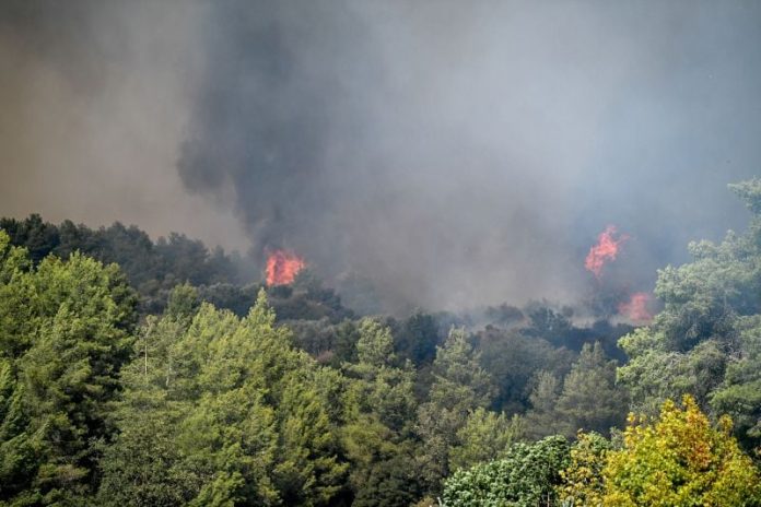 Φωτιά στο Γεράκι Αμαλιάδας: Οι βροχοπτώσεις βοηθούν τις πυροσβεστικές δυνάμεις που επιχειρούν