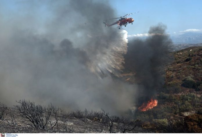 Πυροσβεστική: 53 αγροτοδασικές πυρκαγιές το τελευταίο 24ωρο σε ολόκληρη τη χώρα