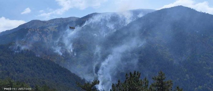 Φωτιά στις Σέρρες: Στάχτη πάνω από 11.000 στρέμματα παρθένου δάσους στο όρος Όρβηλος