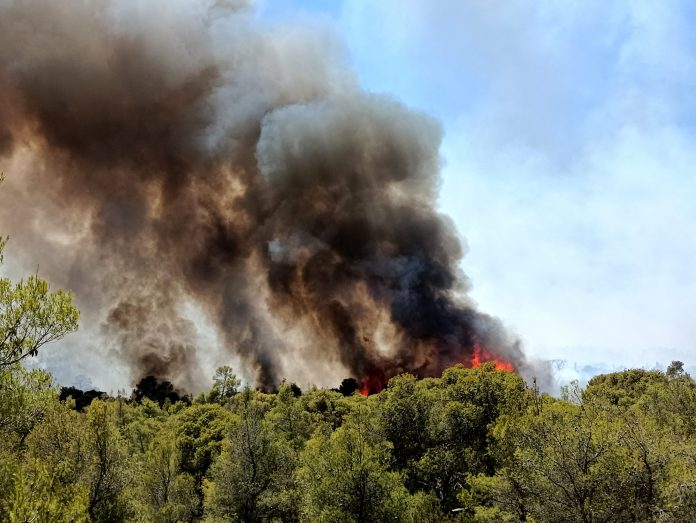 Πάτρα: Φωτιά στην περιοχή Πλατάνι καίει χαμηλή βλάστηση