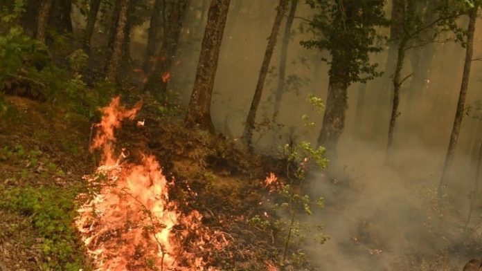 Όλυμπος: Φωτιά σε δύσβατο σημείο 1.600 μέτρων – Εστίες σε Λέσβο και Βοιωτία