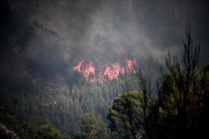 Πιερία: Φωτιά στο Λιτόχωρο – Στη μάχη έξι εναέρια μέσα