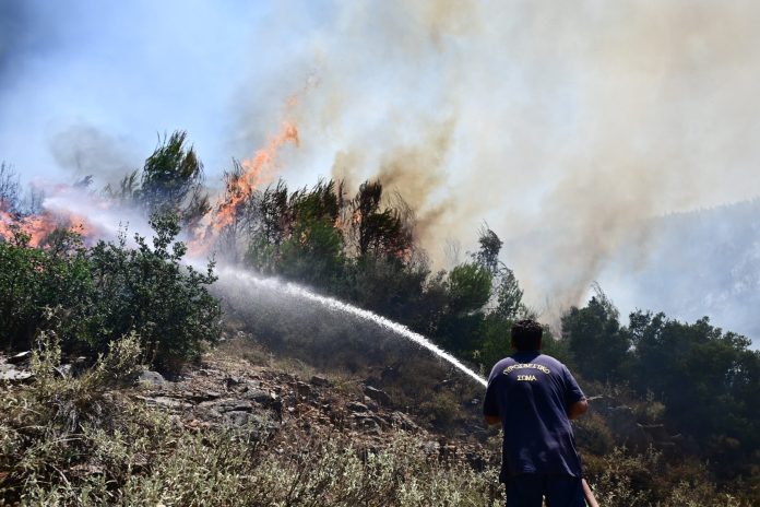 Φωτιά στην Κερατέα – Κινητοποίηση της πυροσβεστικής