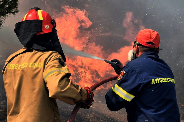 Ασπρόπυργος: Στη φυλακή ο 33χρονος Τούρκος εμπρηστής για τη φωτιά στην περιφερειακή Αιγάλεω