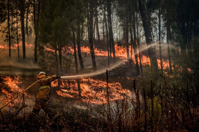 «H δυσκολότερη ημέρα της φετινής αντιπυρικής περιόδου»: Σε πύρινο κλοιό η χώρα – Μεγάλες εστίες σε Διόνυσο, Κερατέα και Δίστομο