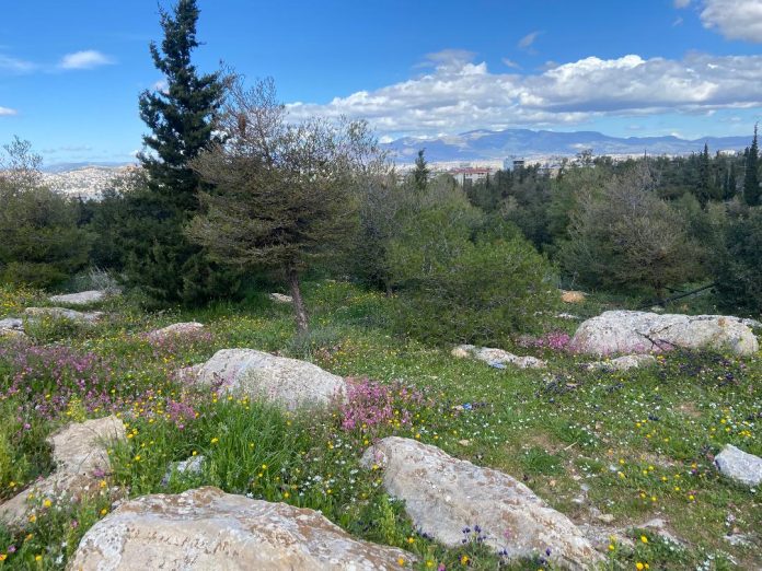 Καιρός: Αίθριος μεν αλλά η «ψυχρή λίμνη» επιμένει – Σε ποιες περιοχές θα κάνει μπόρες – Προμηνύονται 30άρια στις ευρωεκλογές -Πρόγνωση Μαρουσάκη