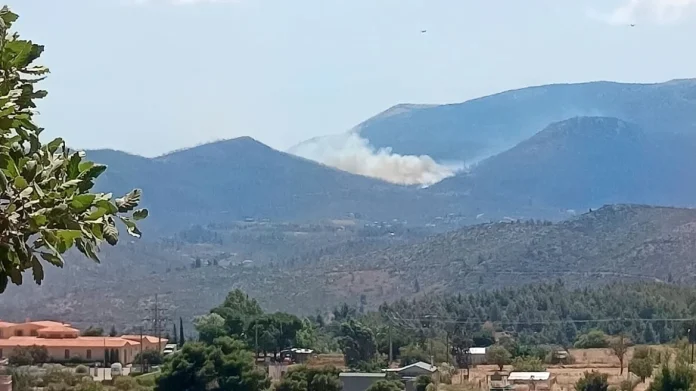 Πάρνηθα: Μεγάλη φωτιά στο Κατσιμίδι – Κινητοποίηση επίγειων και εναέριων μέσων