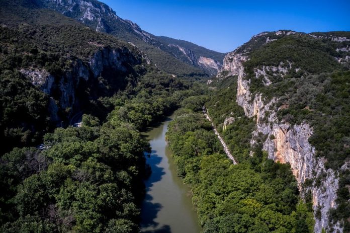 Μυλόπουλος: Ποταμάκι σε ορισμένα σημεία του ο Πηνειός ποταμός από την ξηρασία