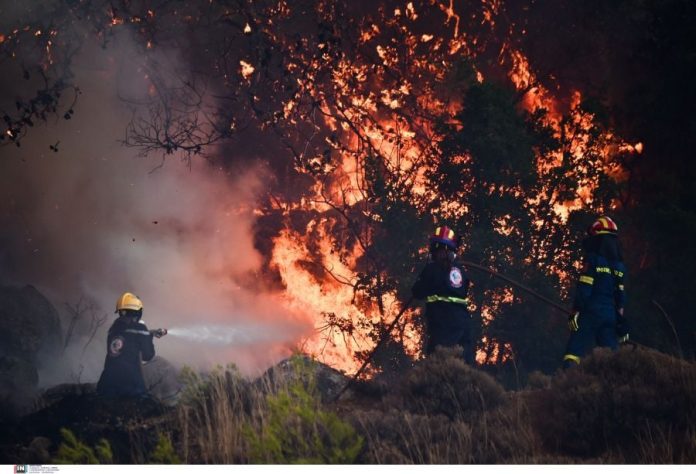 Ρέθυμνο: Φωτιά σε δασική έκταση στα Σελλιά – Άμεση κινητοποίηση της Πυροσβεστικής