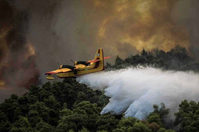 Φωτιά σε δασική έκταση στον Αλίαρτο Βοιωτίας